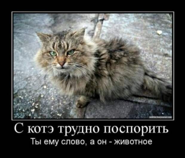 Новые прикольные демотиваторы, осторожно - будет очень смешно!