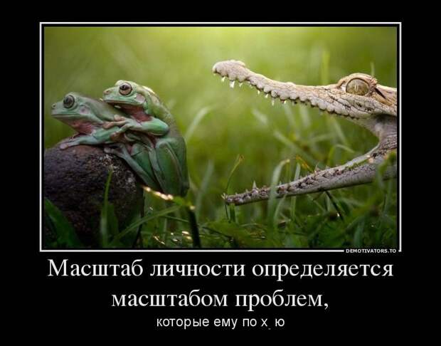 Демотиваторы демотиваторы, прикол, смех, юмор