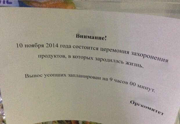 10. На церемонии присутствовать обязательно! 10. На церемонии присутствовать обязательно! коллега, работа, юмор