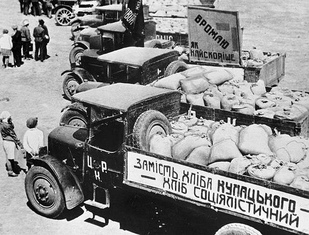 Грузовики с зерном, собранным в колхозе "Каховка", 1930 год  