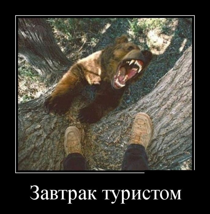 Весёлые демотиваторы - Вы будете улыбаться!