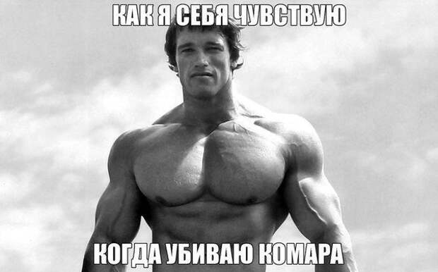 Фразы в картинках. Отличные приколы!