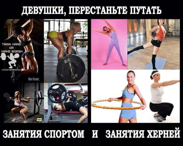 Спорт спорту рознь! девушки, качалка, прикол, спорт