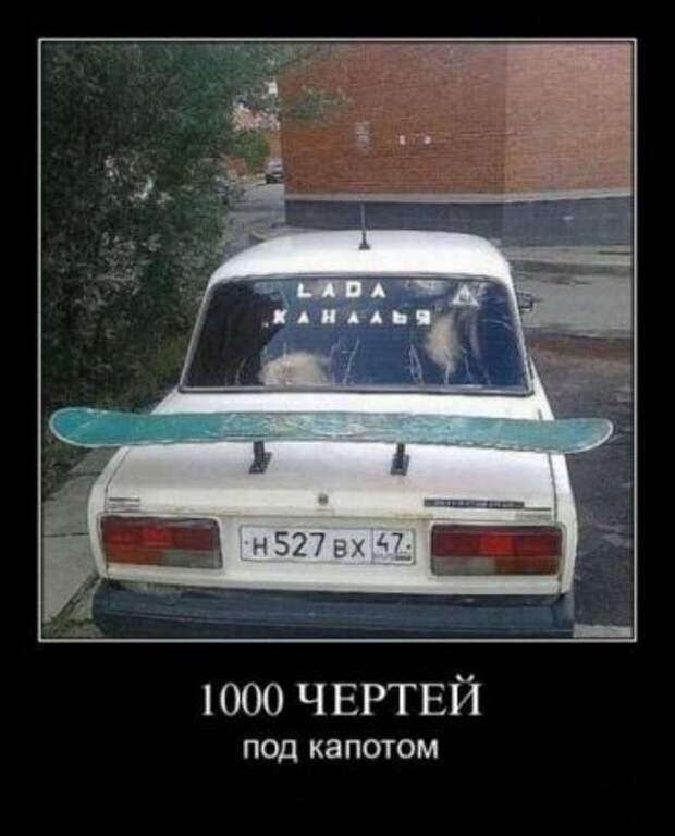 Демотиваторы новые, надписи и фото прикольные.