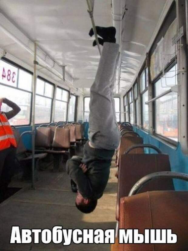 Дорожные фотоприколы!