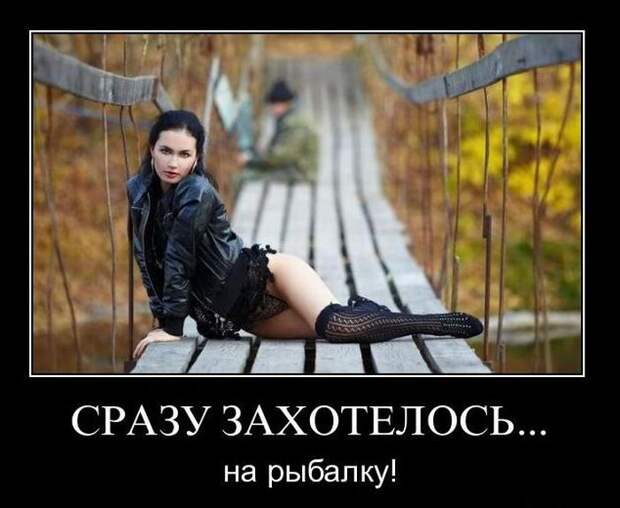 Демотиваторы Демотиваторы