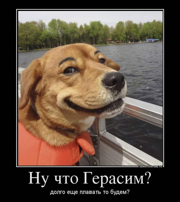 Демотиваторы 