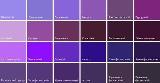 Темно-фиолетовый цвет: как и с чем носить в осенне-зимнем сезоне 2021/2022