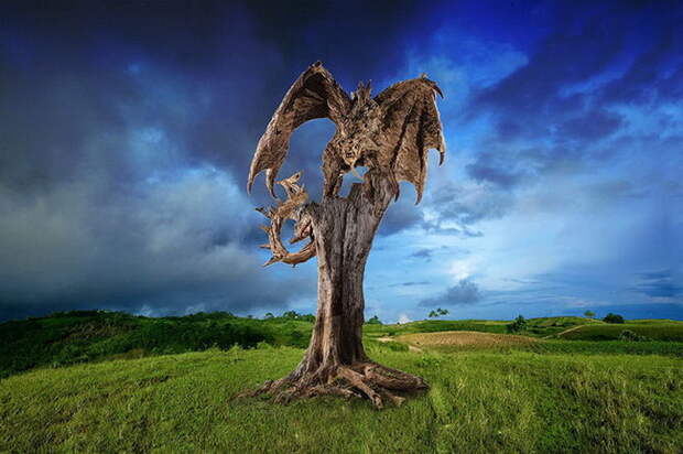 Деревянные скульптуры James Doran-Webb