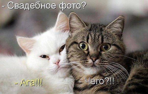 3573123_getImage_18 (604x385, 46Kb)