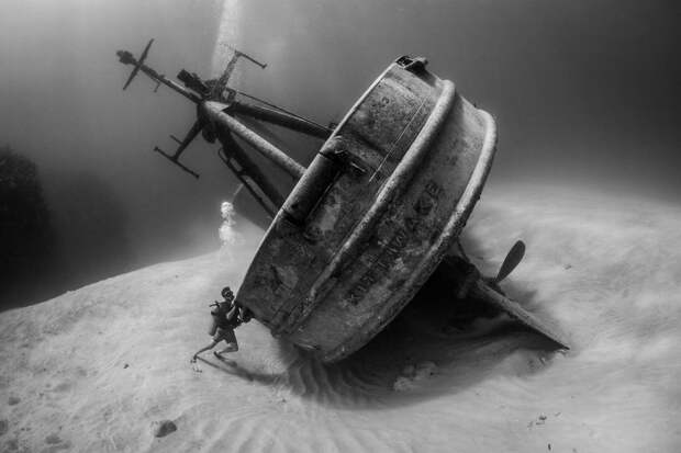 Вот лучшие подводные фотографии 2018 года. И они остановят ваше дыхание! Там под водой - целый мир...