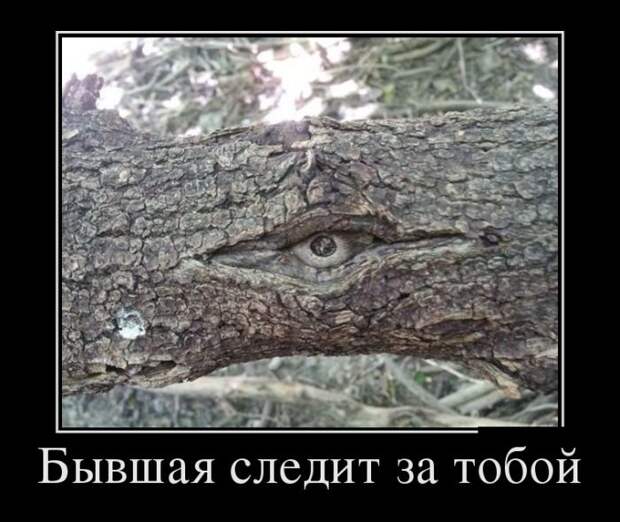 Демотиваторы №1093 (30 фото)
