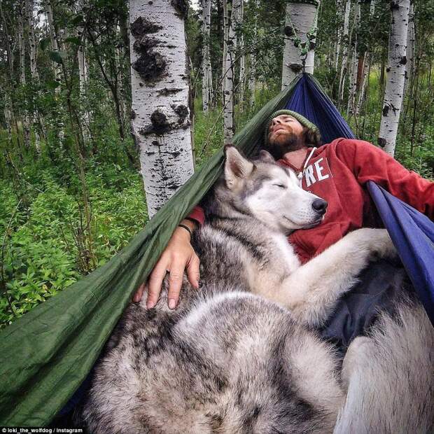 Пёс по кличке Локи, в жилах которого течёт кровь сибирского хаски, аляскинского маламута и арктического волка, и его хозяин, путешественник Келли Лунд из Колорадо.