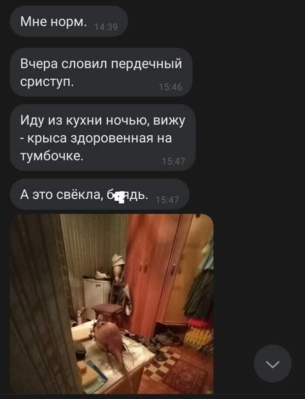 Знакомьтесь, анонсируемая выше крыса