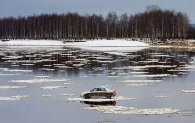 Автоприколы