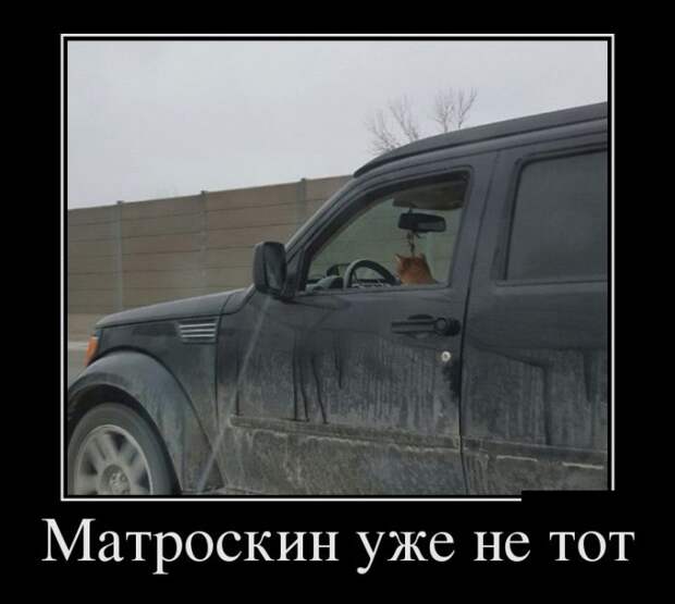 Демотиваторы (30 фото)