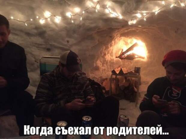 Порция прикольных картинок для настроения (52 шт)