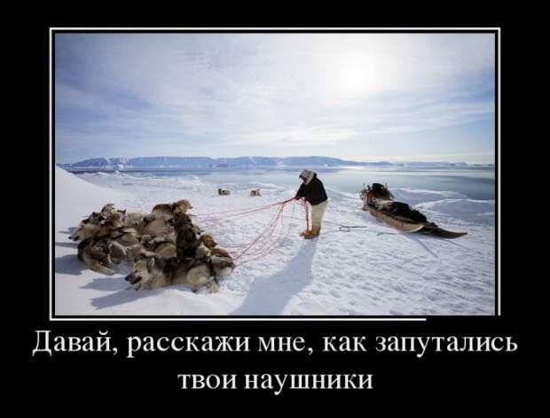 Демотиваторы (30 фото)