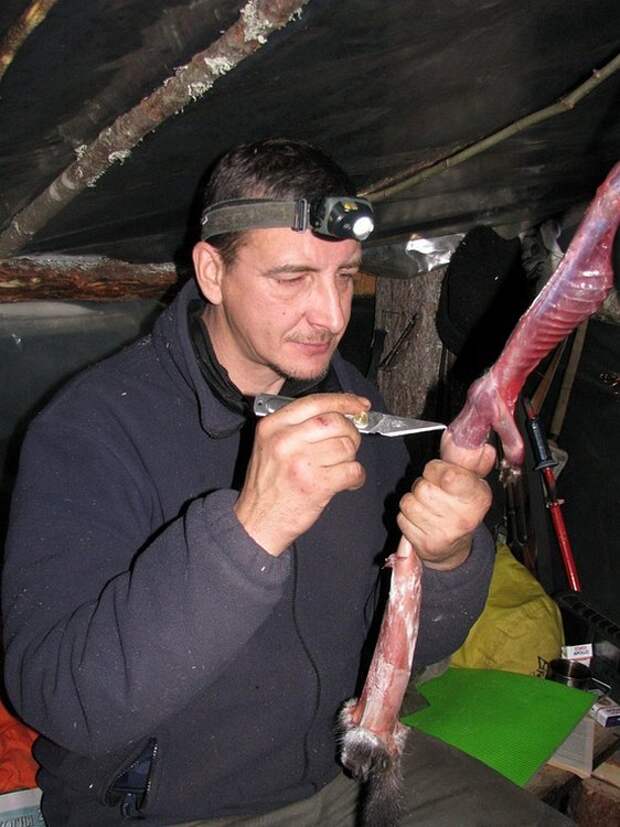 Отпуск в лесу