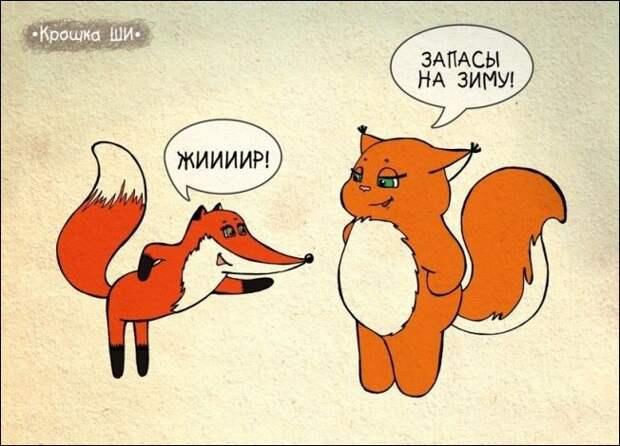 Девичья правда от белки Ши белка, рисунки
