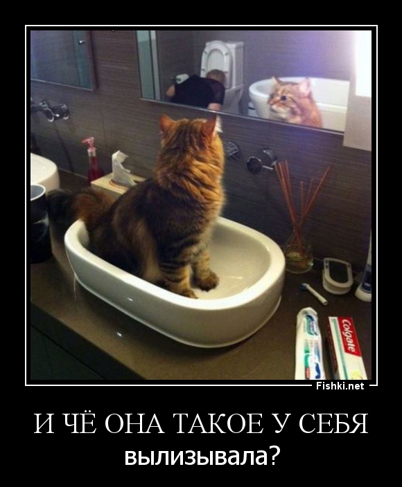 Демотиваторы демотиваторы