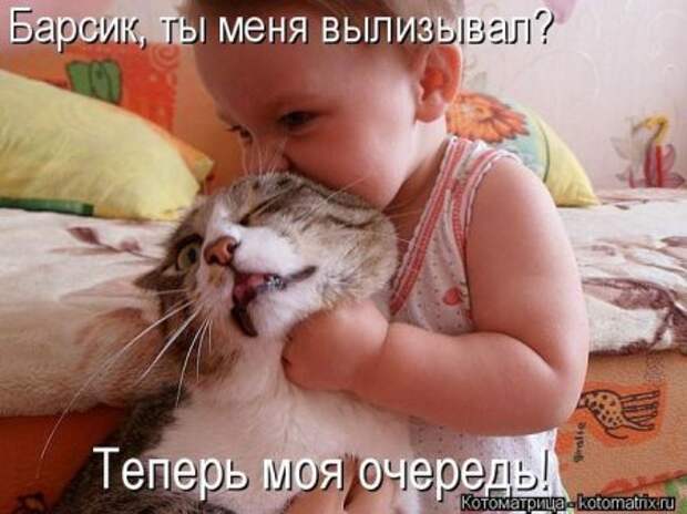 Котоматрицы