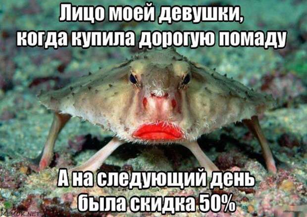 Без политики и прочей фигни, просто позитив демотиваторы, факты, юмор