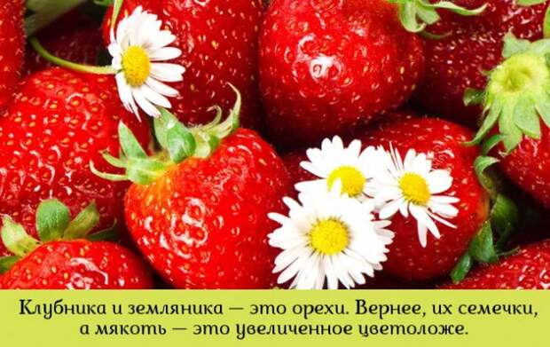 Прикольные картинки (95 фото)