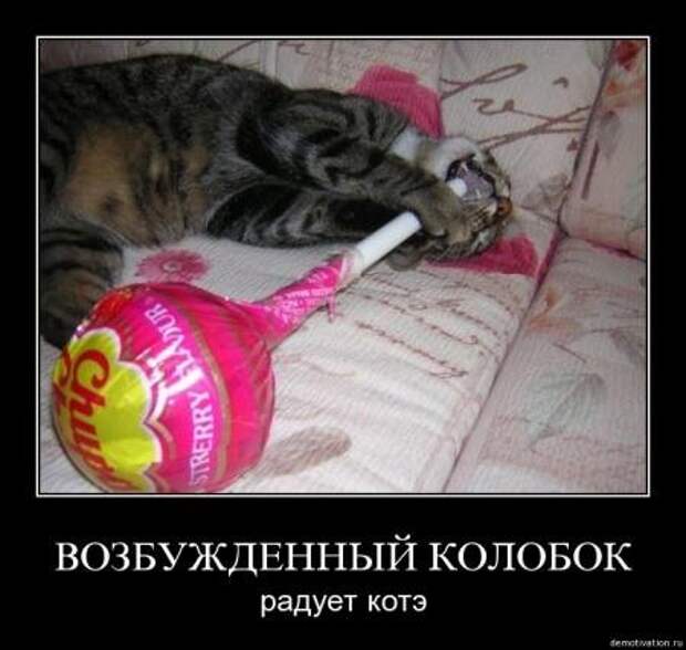 Самые убойные демотиваторы только прикольные.