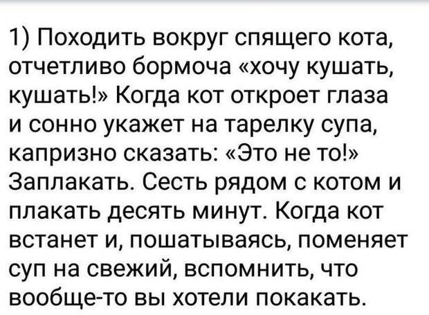 Десять вещей, которые каждый кошатник должен сделать со своим котом (с просторов интернета) животные, кошка, юмор