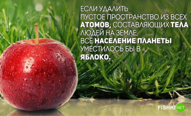 16. Надеюсь, здесь нет червей очевидное-невероятное, удивительные факты