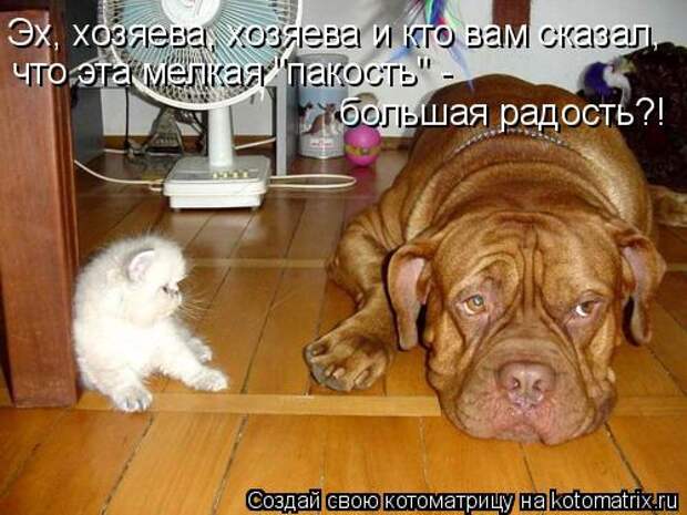 Мысли вслух :)