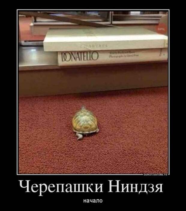 Весёлая подборка демотиваторов Весёлая подборка демотиваторов