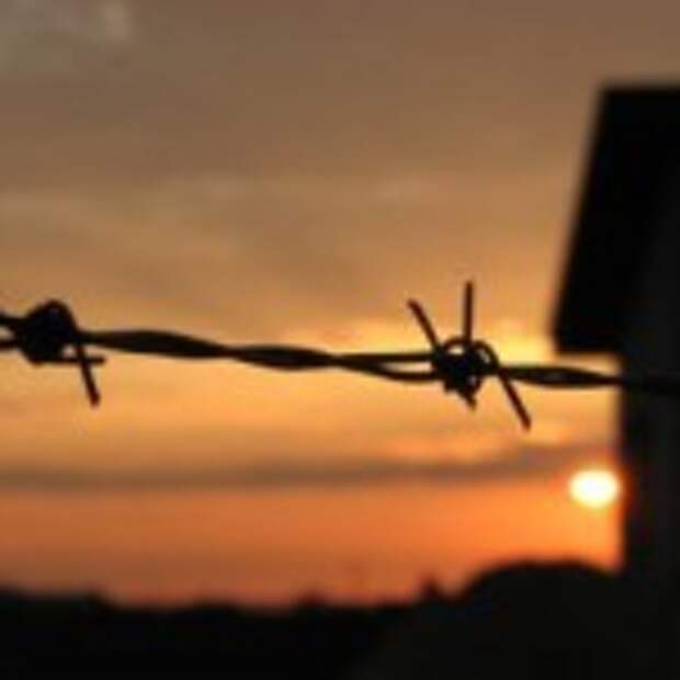 barbed-wire-in-sunset_21235910
