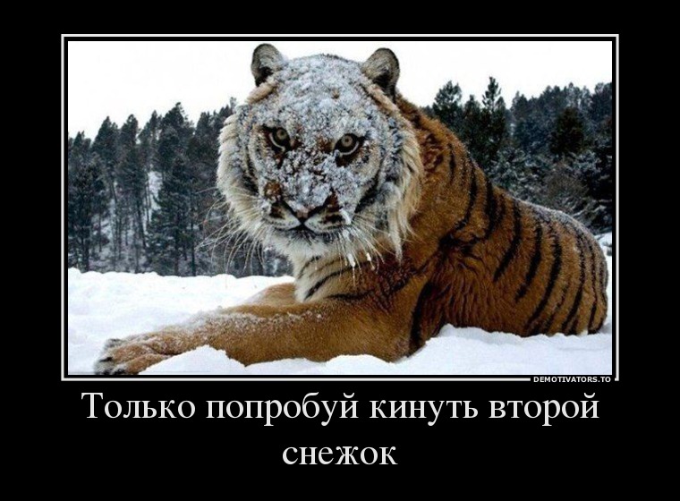 Демотиваторы демотиваторы