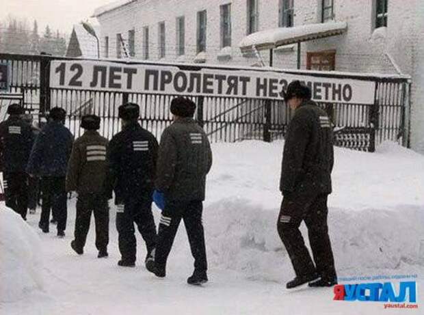 Смешные картинки с надписями прикол, юмор