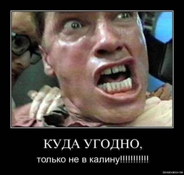 Демотиваторы про котэ и не только.