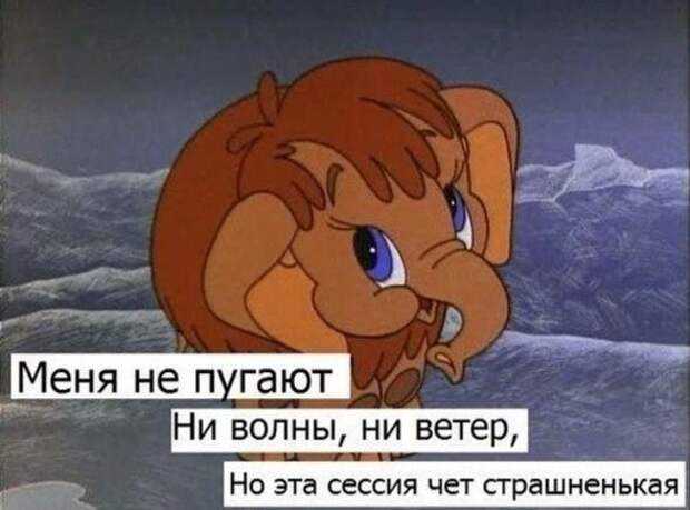 Смешная галерея фотоприколов # 58
