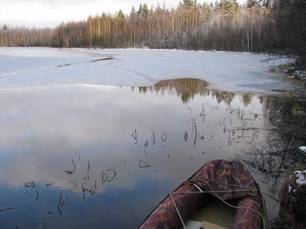 Отпуск в лесу