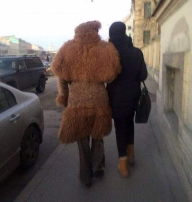 Модники и модницы вокруг нас (19 фото)