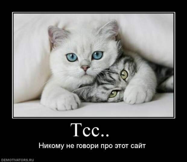 Демотиваторы, подборка свежих ржачных.