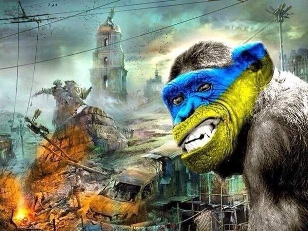 Страну ты не заслужил, хохол! Страну ты не заслужил, хохол!