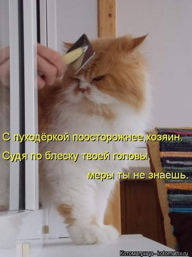 image (500x667, 194Kb)