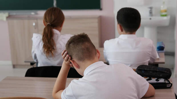 В Минпросвещения назвали плюсы введения оценки за поведение школьников