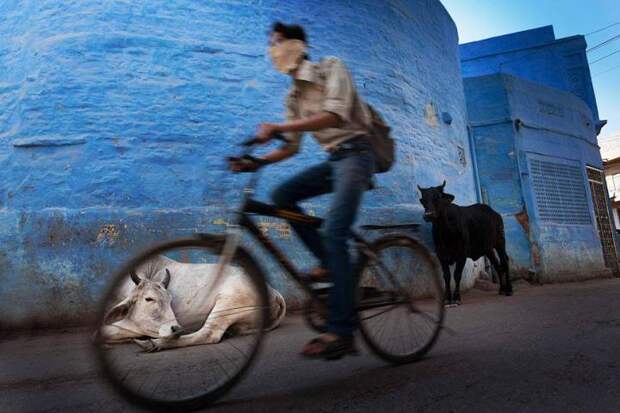 sony-world-photography-awards-2013 (16)