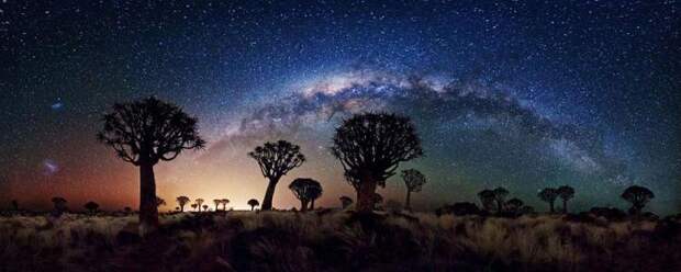 sony-world-photography-awards-2013 (14)