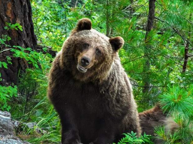 Фото: Роман и Татьяна Воробьевы