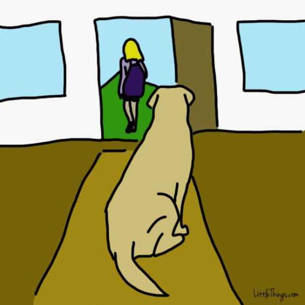 10 способов которыми собака говорит что любит вас