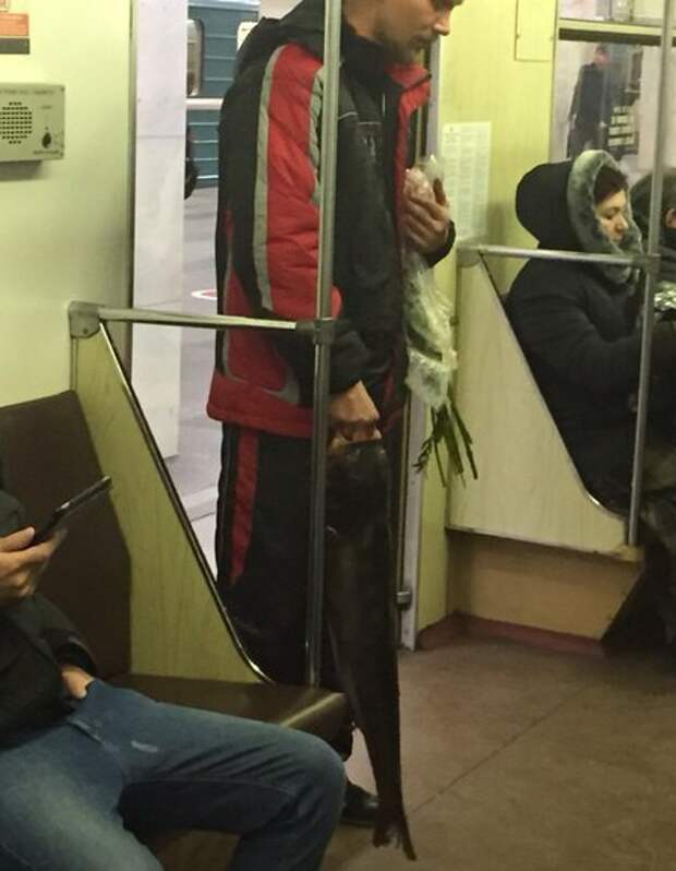 Сумасшедшая рыбалка, которая не даст вам заскучать