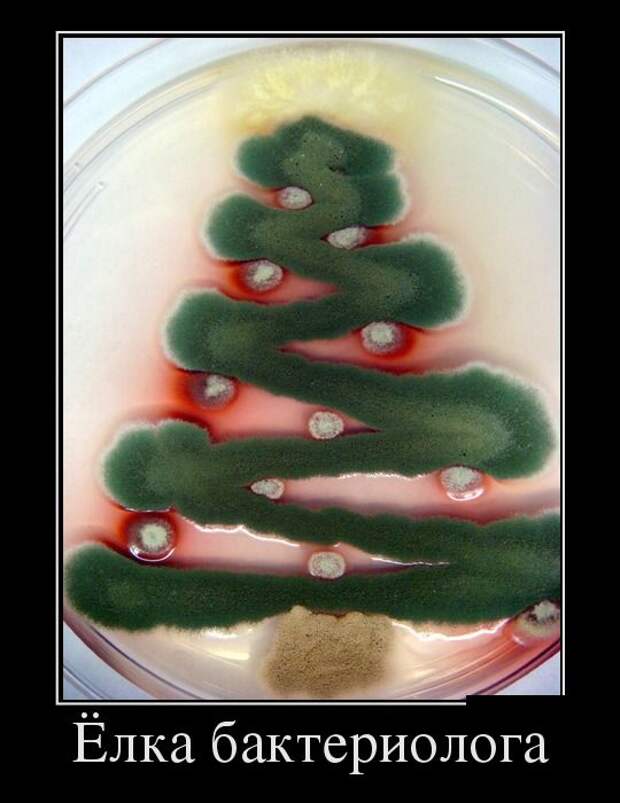 Демотиваторы (30 фото)